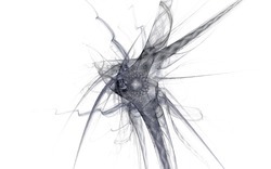 2014 12 15 Shadow Play 022-white.jpg